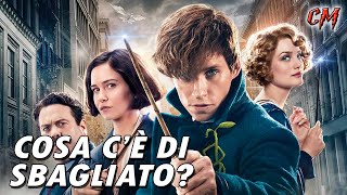 Ecco perché molti fan di Harry Potter odiano Animali Fantastici (inutilmente)