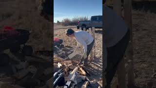 Making Firewood with the boys #firewood #farmlife