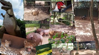 Nandankanan Zoo | Wild Life Sanctuary | Odisha