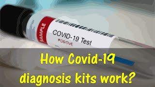 How COVID-19 diagnosis kits work? #corona #covid19 #coronavirus