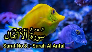 سورۃ الانفال Recitation of the Holy Quran Surah Al Anfal   سلسلة اروع التلاوات #full_hd_video