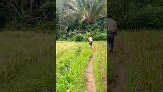 Ngebolang ke sungai || #shorts #shortvideo #anakanak