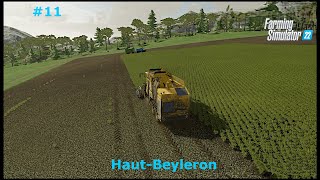 It's Finally Done! Beet Harvest, Complete! // Farming Simulator 22 // Haut-Beyleron - Ep. 11