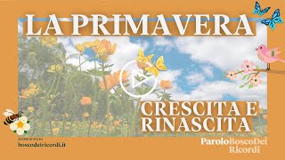 Bosco dei Ricordi - In Primavera Tutto Rifiorisce, racconti di Crescita e Rinascita