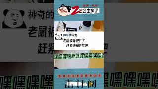 老鼠：这种去世方式，在老鼠界也是相当炸裂了！ #搞笑视频 #神评论 #搞笑 #搞笑评论 #搞笑合集 #看一次笑一次 #爆笑 #搞笑的视频