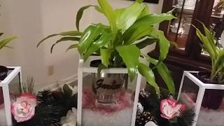 Centerpiece Ideas For Tables | How To Put Indoor Plants In Centerpiece