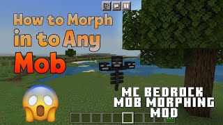 How to morph into any mob!!!😱||Minecraft Bedrock Mob morphing mod||