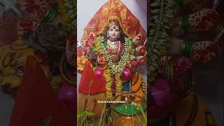 My Home #durgamata #durgamaa #durgapuja #navratri #visarjan #nimajjanam #viral #trending #shorts #yt