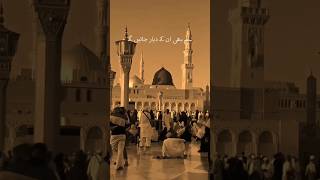 Jayein Gy Baar Baar Jayein Gy | Madina Naat Status #madinah