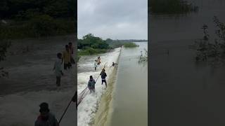 Village adventures | rohu fish catching with net | #shorts #fishing #villagefishing