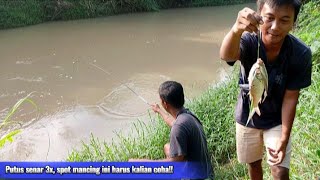 MANTAP..!! MANCING IKAN TAWES DI AIR KERUH YANG MAKAN BABON SEMUA.#mancing #mancingtawes