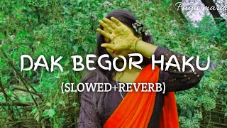 Dak Begor Haku (Slowed+reverb) New Santali song #santalisong #newsong #sadsong#video  #viral