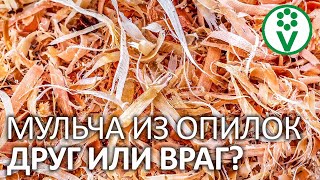 СМЕЛО ИСПОЛЬЗУЙТЕ ОПИЛКИ В САДУ И ОГОРОДЕ, если знаете эти нюансы!