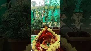 हमारी तुलसी मैया# shorts # Rangoli design # Meenakshi Real vlog