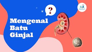 MENGENAL BATU GINJAL