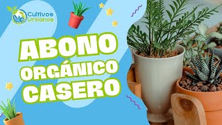 ¿Cómo hacer un abono orgánico casero? I Fácil, sencillo y muy barato