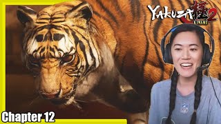 Are we really fighting a Tiger now?! | YAKUZA KIWAMI 2 Lets Play Chapter 12