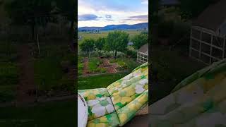 Preparing for a freeze June 20th In Eastern Oregon #prepping #greenhouses