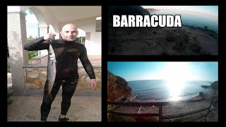 19)Pescasub2020-barracuda 2kg-dal torbido spearfishing