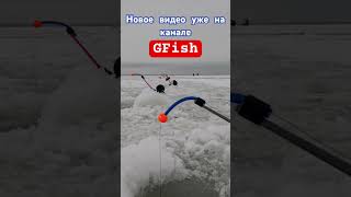 Ловим корюшку с братом на дамбе #smelt #dam #northdam #fishing