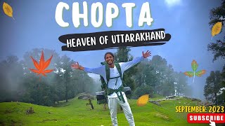 CHOPTA- Mini Switzerland of Uttarakhand🫶🏻|| Ukhimath to Chopta by Car😍 || MR. LIMITLESS TRAVELLERS