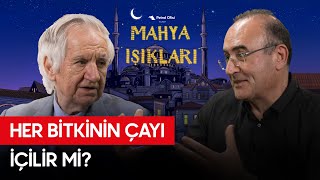 Bitkileri Kaynatıp İçmek Her Zaman Faydalı Mıdır? - Mahya Işıkları Bölüm 11