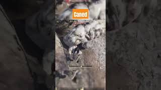 Old School Whooping #fallout76 #fallout #gaming #gamercommunity #funnymoments #gamingclips #funny