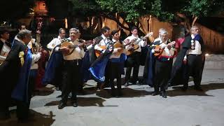 MVI 5585_멕시코_광장의 합창_산 미겔 데 아옌데(San Miguel de Allende)_2024.0815