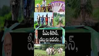 పీఎం కిసాన్ రైతుల అకౌంట్స్ కి 2,000 వేలు డబ్బులు జమ #youtubeshortvideos #shortvideos