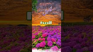 Fuzail(فضیل) Islamic Baby Boys Name With Meaning In Urdu #muslimnames #girlsname #2023