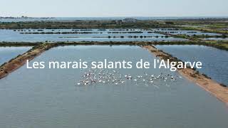 Les marais salants Olhão