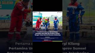 Kilang Pertamina Unit Plaju bersama Pemprov Sumsel bersinergi membangun taman rawa di Jakabaring