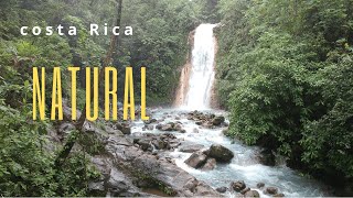 Waterfall Bajo los Torros Costa Rica #shorts #youtubeshorts