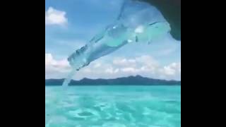 Amazing crystal clear water of the Bahamas