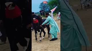 Best horse dance ever in Pakistan #horsedance #horses #2023 #shorts