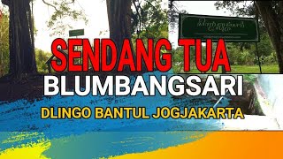 SENDANG MBLUMBANGSARI DLINGO BANTUL