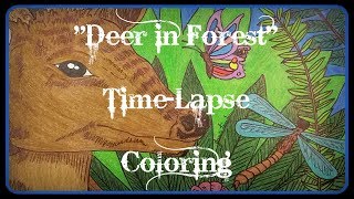 "Deer in Forest" - Time Lapse Coloring