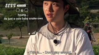 Kyungsoo Its not Okay Thats a Snake