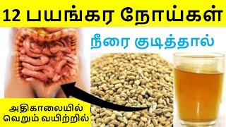 அதிகாலையில் வெறும் வயிற்றில் நீரை குடித்தால் 12 பயங்கர நோய்கள் காலடியில் இடிந்து விழும் ajwain facts