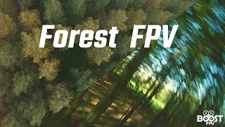 FPV small woods