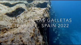 Bubbles and Beyond - 4K - Atlantic Ocean Spain Canary Islands Tenerife - December 2022