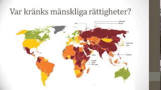 Vad är grejen med mänskliga rättigheter?