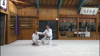 Айкидо Ивама Рю. Коккю наге, Иккё. Aikido Iwama Ryu. Iwama after keiko. Kokkyu nage, Ikkyo.