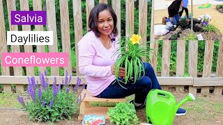 Plant a Perennial Garden | Easy Flowers that come back every year #gardening