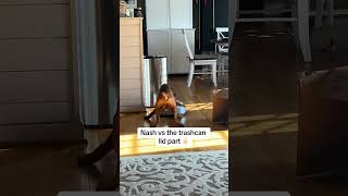 Boxer puppy is playing with the trashcan lid!