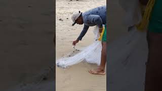 A crab got catched by fisherman at Baga river #Bagabeach #bagaRiverMeetingTheSea