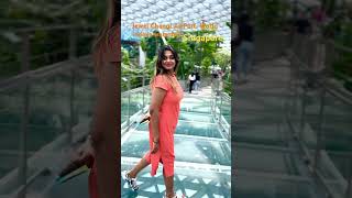 Jewel Changi AirPort World Indoor Waterfall Singapore#singapore #youtubeshorts #shorts #instagram