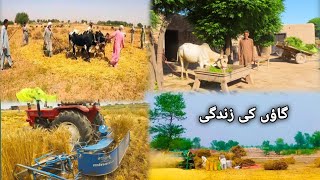 Pakistan Punjab village life vlog🥰 || Pakistani vlogs village life