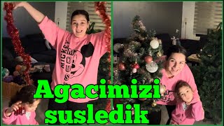 ARALOG🥰❄️ Alya ile birlikte agacimizi susledik🎄🎅Elmali Kek yaptim🥮🍎