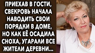 Приехав в гости, свекровь начала наводить свои порядки в доме, но как ее осадила сноха...